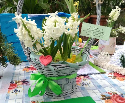 Проведен конкурс-выставка «Разбуди весну зимой»