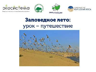 Природоохранная кампания "Заповедное лето" + конкурс рисунков
