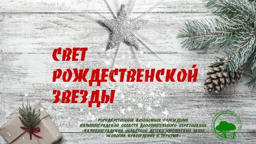 Благотворительный марафон «Свет Рождественской звезды»