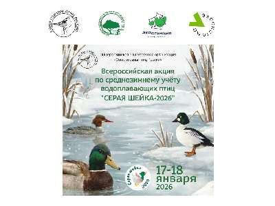 Всероссийская акция "Серая шейка – 2026"
