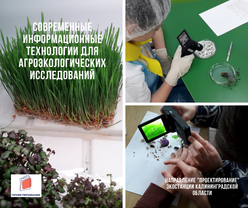 Вышел новый видеофильм о работе и достижениях Экостанции Калининградской области