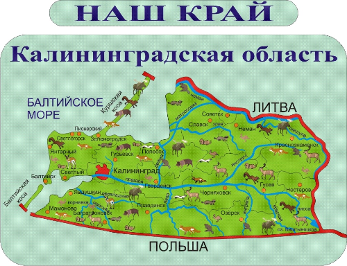 Итоги ХХIII областной олимпиады по школьному краеведению