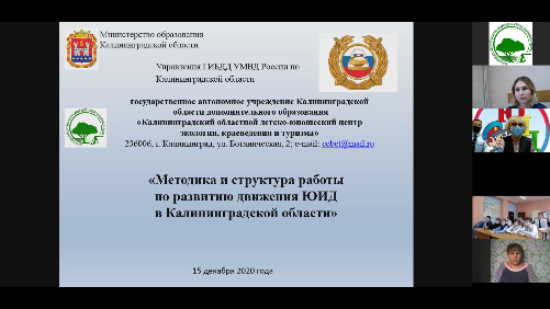 Проведен вебинар «Методика и структура работы по развитию движения ЮИД в Калининградской области»