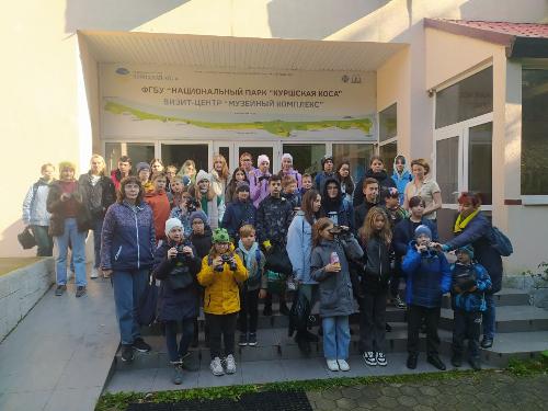 Итоги Международных Дней наблюдений птиц в Калининградской области в 2022 году